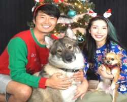 He has adopted two dogs in his home.